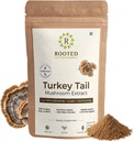 Polvere dell'estratto del fungo della coda della Turchia di ROOTED Active, certificata da USDA & EU Organic| 35% Beta Glucans - Lab verificato | Gut Health, fegato, supporto immunità (2.11 once)