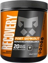 Leon Sport Post Workout Recovery Powder/Muscle Recovery Powder with Protein, COQ10, Aminoacidi e BCAA/Daily Protein & Amino Acid - 14 Serve