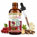 Rejuvica Health CardioVance - Supplemento di supporto al cuore - Consegna liquida per un migliore assorbimento - Hawthorne, Hibiscus, Arjuna, Olive Leaf & More!