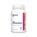 Renue By Science Ashwagandha | Integratori di Ashwagandha Liposomal ad alta resistenza | 90 Ashwaganda Capsules - 200mg Ashwagandha per Serving | Non-GMO | Made in the USA Third-Party Tested