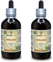 Psyllium (Plantago Ovata) Tintura, Estratto di liquido semolato organico (Nome: HerbalTerra, Proudly Made in USA) 2x4 fl.oz (2x120 ml)