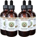 Estratto di liquido senza alcool di Muira Puama (Ptychopetalum Olacoides) Integratore naturale di erbe di glicerite, Hawai Pharm, USA 4x4 oz
