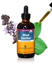 Herb Pharm Mind Soother: Santo Basilio: Liquid Kava Supplemento al supporto calma e rilassamento, Supporto stabilizzante per il sistema nervoso, Realizzato con Noble Kava & Lavender Flower, Vegan, senza glutine, 4 oz*