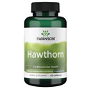 Estratto di biancospino di Swanson (Standardized) 250 mg 120 capsule