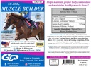 SU-PER Muscle Builder Horse Supplement - Supporto per la formazione e le prestazioni per l'esercizio muscolare - 1 gallina + pompa