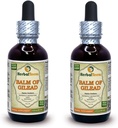 Balm Of Gilead (Populus candicans) Tintura, Organic Dried Buds Liquid Extract (Brand name: HerbalTerra, Proudly made in USA) 2x2 fl.oz (2x60 ml)