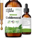 Wild & Organic Goldenseal Root Tincture - Pulire il polmone, Supporto immunitario e digestivo - Liquid Goldenseal Supplement - Vegan, Sugar & Alcohol-Free Herb Drops - 2 fl oz