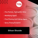 Polvere di biossido di silicio - Bulk 25 lb - Sipernat 22S Grado farmaceutico Milled Silica precipitata - Moisture-Absorbing agente di flusso anticaking - Spray Drying Excipient