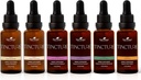 Terapia vegetale Organic Tinctures Beginner Set 30 mL Ciascuno di organico Ashwagandha, Ginseng asiatico, Echinacea Blend, Elderberry, Lemon Balm & Turmeric