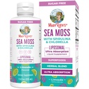 MaryRuth Organics Sea Moss con Spirulina e Chlorella Liposomal | Chlorophyll | Dandelion Root | Superfood | Ultra Absorption | Vegan | Non-GMO | Gluten Free | 7.6 fl oz | 15 Serve