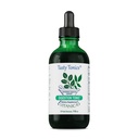 Vitanica Digestione Tonico, Gas e Bloating Relief Supplement, Organico, Migliorare la funzione digestiva & Gut Health, per le donne e gli uomini, Menta Olio Fennel Ginger & Aloe Vera Vegan, 4 Oz