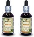 Skullcap (Scutellaria Lateriflora) Tintura, Estratto di liquido di erbe secche organiche (Nome: HerbalTerra, Proudly Made in USA) 2x2 fl.oz (2x60 ml)