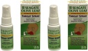 Seagate Prodotti Omeopatici Olive Leaf Throat Spray 1 oncia Unflavored 2pack