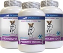 Relief Dog Diarrhea - PROBIOTICS per cani - Gut sano - Stop gas diarrea e cattivo respiro - Boost digestivo - Probiotici per cani e enzimi digestivi - 3 bottiglie (180 Trattamenti)