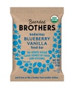 Fratelli Bearded, Organic Vegan Protein Energy Bars, Blueberry Vanilla (12 Pack) - Gluten Free, Paleo, Fiber, Whole 30 | Non OGM Low Glycemic Snacks