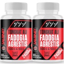 2400mg Fadogia Agrestis Tongkat Ali Integratori - Terzi Testati - 1400mg Fadogia Agrestis & 1000mg Tongkat Ali, Massima Forza, Massa Muscolare & Performance Atletica, 2 Pacchetti