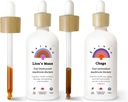 Rainbo Mushroom Bundle, Lion's Mane Mushroom Extract + Chaga Mushroom Tincture, doppio estratto Daily Mushroom Tinctures per il supporto immunitario completo, Vegan Liquid Mushroom Supplements
