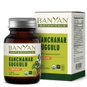 Banyan Botanicals Kanchanar Guggulu Tablets – Integratore Limph Organico con Resina Guggulu – Promuove l'eliminazione sana delle tossine naturali* – 90 compresse – Non OGM Sostenibilmente Sorgente Vegan