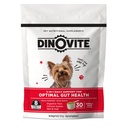Dinovite 3 in 1 Probiotico per cani di piccola taglia, pelle e cappotto, salute digestiva e sollievo misto, cane Food Toppers, supporto immunitario, Allergy Relief & Itch Relief Skin Care, 30 Servings (1-18lb)