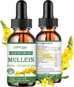 Gocce di Mullein per polmoni, potente disintossicazione polmonare per fumatori, Mullein organico e gocce di clorofilla per polmoni, Estratto di foglie di Mullein per polmone e Bronchia, Salute respiratoria, Boost immunitario 2 FL/OZ