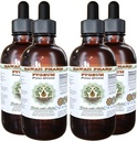 Estratto di liquido privo di alcool di ciliegia africano, Pigeo di ciliegia africano (Prunus Africana) Bark Glycerite integratore naturale di erbe, Hawaii Pharm, USA 4x4 oz