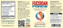 FUCOIDAN FORCE® - Confezione 24 bottiglie