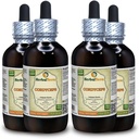 Cordyceps (Cordyceps Sinensis) Tintura, Estratto di liquido della polvere di funghi secca organico (Nome: HerbalTerra, Proudly Made in USA) 4x4 fl.oz (4x120 ml)
