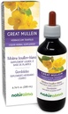 Naturalma Grande Mullein o Mullein comune (Verbascum thapsus) Fiore e Foglia Alcohol-Free Tintura - 6.76 fl oz Estratto liquido in gocce - Supplemento di erbe - Vegan