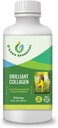 Supplemento di collagene liquido marino -1.000mg di Morikol Tripeptide Marine Collagen Plus 1.000mg Biotin Acido ialuronico Vitamina C Sano Pelle Capelli Supporto Giunto GMP Certificato Gluten&Soy Free