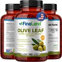 Estratto di foglie di oliva fineLand 50x – 25.000mg Eq. per Serving | 160 Vegan Caps, Estratto di oliva con 20% Oleuropein | Integratore antiossidante a base di erbe per il supporto circolatorio e immunitario, Made in USA