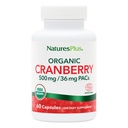 NaturesPlus Organic Cranberry 500 mg - 60 Capsule - Aiuta a promuovere il tratto urinario sano - Certificato USDA Organico, Vegan, Gluten Free, Non-GMO - 30 Serve