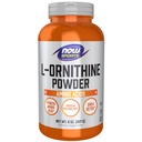 NOW Alimenti Nutrizione sportiva, Polvere L- Ornitina, Metabolismo Proteine* e Detox Urea*, Aminoacidi, 8-Oncia