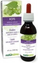 Naturalma Hops (Humulus lupulus) strobilus o Cone (Female Flowers) Alcol-Free Tincture - 4 fl oz Liquid Extract in Drops - Herbal Supplement - Vegan