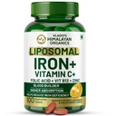 HIMALAYAN ORGANICS Organics Chelated Iron with Vitamin C,B12,Zinc & Folic Acid | Boost Hemoglobin Levels | Migliora il livello di concentrazione,Energy & Blood Building-120 Veg Tablets