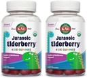 KAL Jurassic Elderberry Kids Gummies | Supporto Immune sano | USDA Organic, Vegan, Gluten Free | 30 Serv, 60 Ct (Pack of 2)
