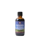 WishGarden Herbs Chlorophyll & Friends - Clorophyll Liquid Drops with Nettle Leaf, Holy Basil, Moringa Leaf & Peppermint Leaf, Supports Aumentare l'energia, Immune sano, & Stress Response, 2oz
