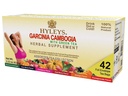 Tè di HYLEYS Garcinia Cambogia tè verde con sapori assortiti - 42 Borse di tè (12 Pack - 504 Borse di tè Totale)