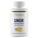 Estratto di zenzero di Paradise Herbs Premium per la salute digestiva, Super Potent, Ultra Pure, Vegan, Non OGM, Gluten Free, 60 capsule vegetariane