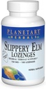 Slippery Elm Strawberry Lozenges, Herbal Throat Support, 100 Lozenge