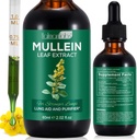 Estratto di foglie di Mullein per polmoni, gocce di Mullein per polmoni, polmone di sostegno, funzione respiratoria per respiro sano, miglioramento nella funzione polmonare, integratore naturale e sicuro (1 PC)