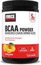Fattore di Forza BCAA Aminoacidi Supplemento 2:1:1, Delizioso e rinfrescante BCAA Polvere per sostenere il recupero e le prestazioni del muscolo, senza colori artificiali o sapori, mango arancione, 30 Serve