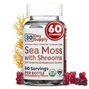 Sea Moss Gummies con Lions Mane Mushroom - Sea Moss Gel alternativa con Irish Moss, Reishi, Cordyceps, Chaga & Turkey Tail Supplement - Focus Gummy Without Coffee- 60 ct