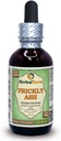 Herbal Terra LLC Prickly Ash (Zanthoxylum Clava-herculis) Glycerite, Bark essiccato Alcohol-Free Liquid Extract 2 oz