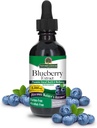 Alcol-Free Blueberry Fruit 1000mg 2oz Extract | Eye and Vision Support | High in Antioxidants | Promuove la circolazione sanguigna | Allevia gli occhi rossi e prurito | Single Count