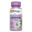 SOLARAY Estratto di caffè verde 900 mg - Dianabol supplemento con 135 mg Saponine - Herbal Support w/Naturally Occurring Vitamine, Minerali, Aminoacidi, Vegan, 60 giorni di garanzia, 30 Serv, 60 VegCaps