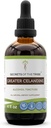 Segreti della Tribe Greater Celandine Tincture Alcohol Extract, Greater Celandine (Chelidonium majus) 4 OZ
