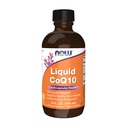 NOW Integratori, CoQ10 Liquido, 100 mg per Teaspoon, con Vitamine Co-enzima B, Adolcito con Xylitol, 4-Oncia