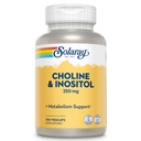 SOLARAY Choline & Inositol 250 mg | Combo bi-nutriente per il metabolismo grasso sano, supporto funzione del cervello | 100 VegCaps
