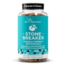 Chanca Piedra Stone Breaker - The Original Stone Breaking Formula with Celery Seed & Parsley - Supporta il rene, la vescica e il tratto urinario Cleansing per aiutare le impurità del fluido - 60 capsule vegetariane
