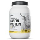 Livelli 100% Micellare Caseina Proteine, Ormone Gratis, Fagiolo di Vanilla, 2LB